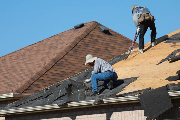 Best Asphalt Shingles Roofing  in Old Forge, PA